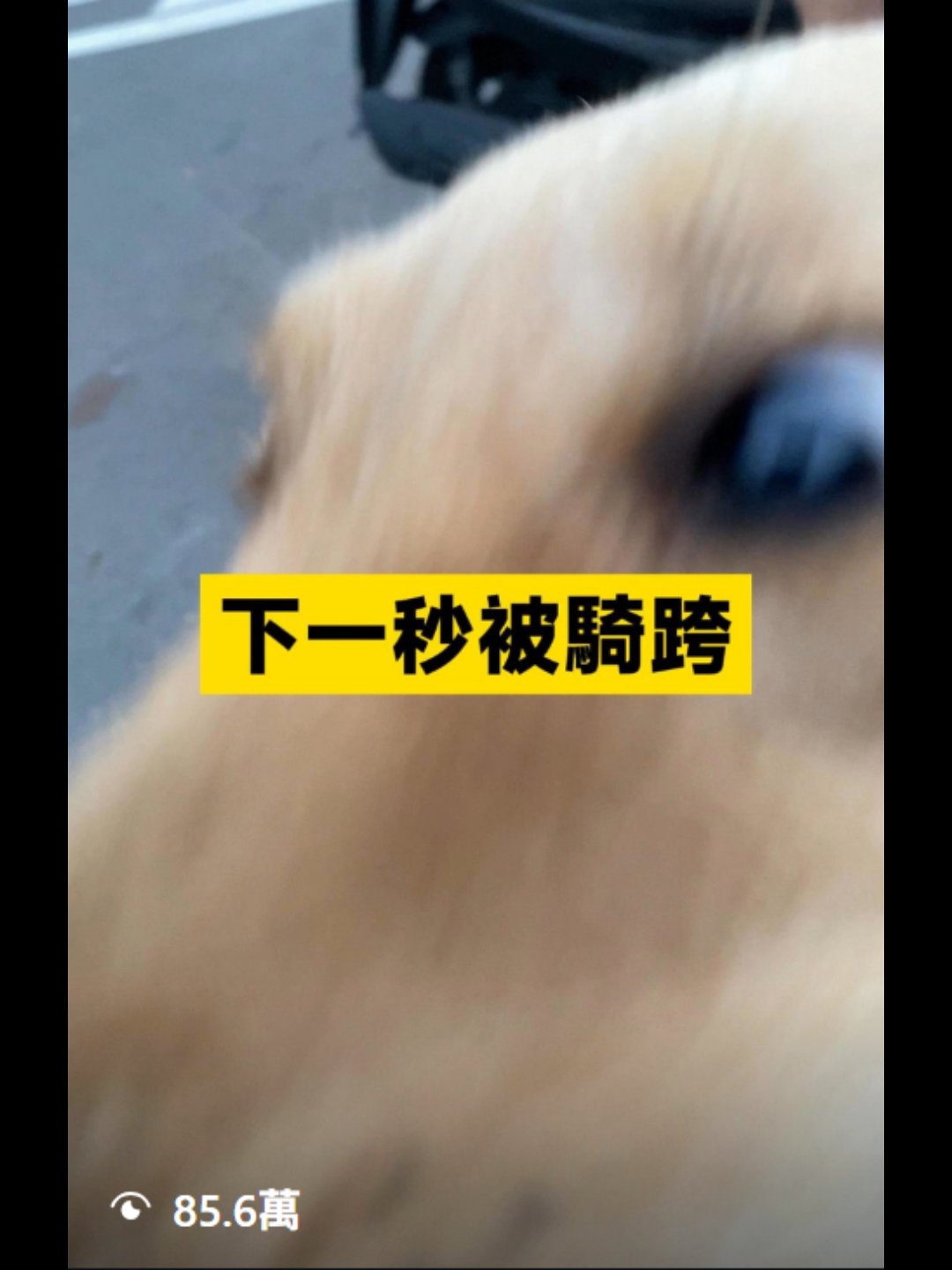 新增專案 (10)